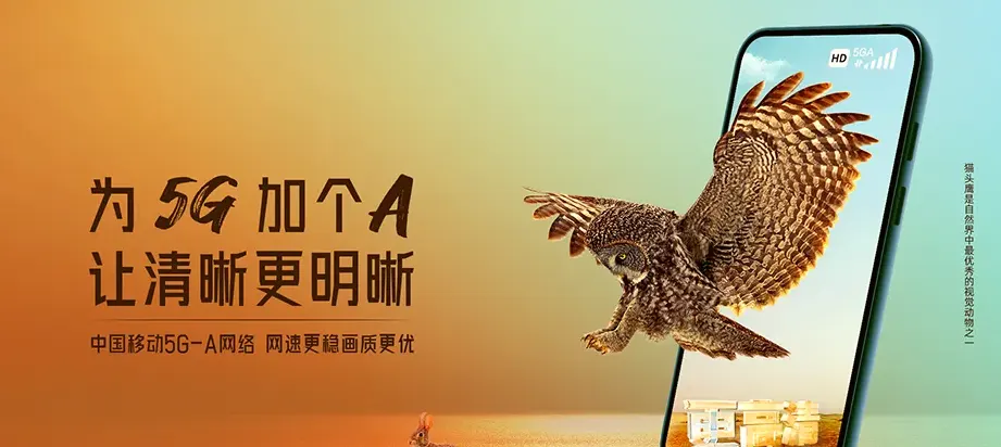 华坪县华坪县兴泉镇 移动宽带